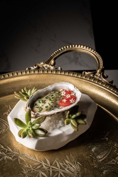 その他 ヴァイスロイバリの写真