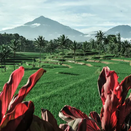 Ijen Resort and Villas - The Hidden Paradise