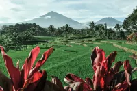 Ijen Resort and Villas - The Hidden Paradise - Mountain view