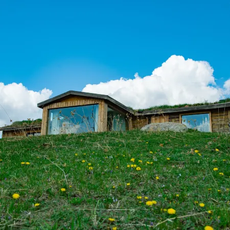 Jonkushtai Mountain Cedar Homestay