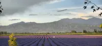 Huocheng Yasshe Meisu (Chuchcun Branch) - Mountain view