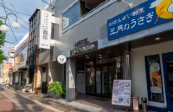 PLAZA IN MIYAKOJIMA HOTEL Hotels in 