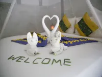 Milky Bay Resort