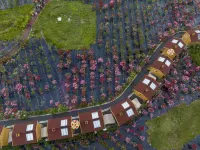 Meeting the Starry Sky, Photography and Food Experience Homestay (Siguniang Mountain Branch)