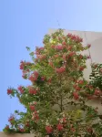 "منزل إقامة ياهويشوان" Hotels near مركز الهرم
