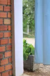 Phnom Meas Homestay