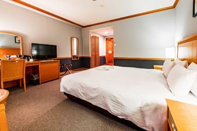 【喫煙】ダブル23㎡（本館ステーションウィング） ホテルアザット那覇（安里駅前）の写真