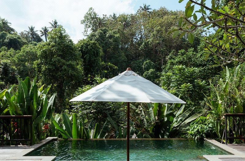 The Lokha Ubud Resort, Villas & Spa photo 5