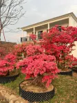 Yuezhiju Homestay