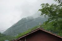 FOREST VIEW HOTEL - Mountain view