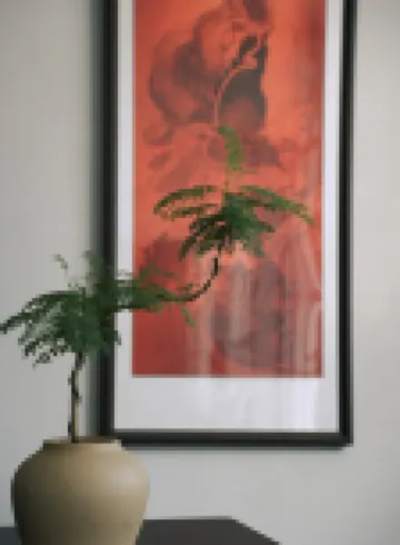 xi an hotel(Changting Ancient City Store)