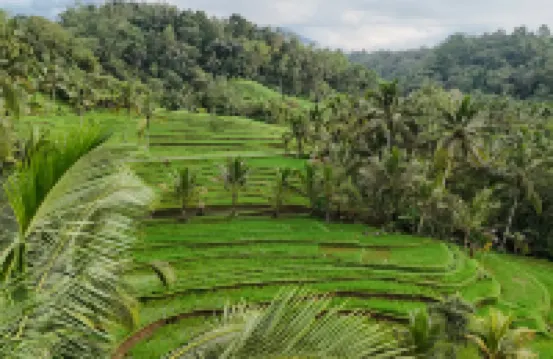 Calma Coliving at Jatiluwih, Bali Hoteles cerca de Pura Luhur Batukaru