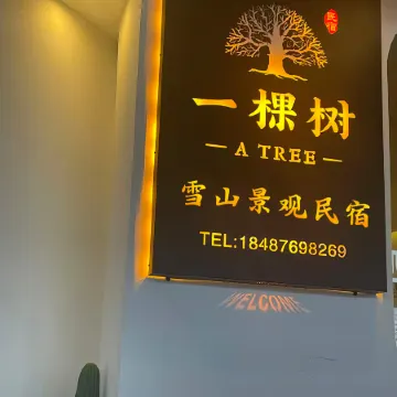 A single Tree