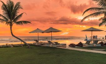 Bali Beach Glamping