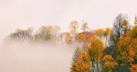 Wangshu Joy Secret Realm · ANANDA Private Hot Spring Healing Hotel - Mountain view