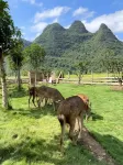 OKDAY Hotel (Yangshuo West Street, The Scenic Gallery, Yangshuo, Guilin) - Gym