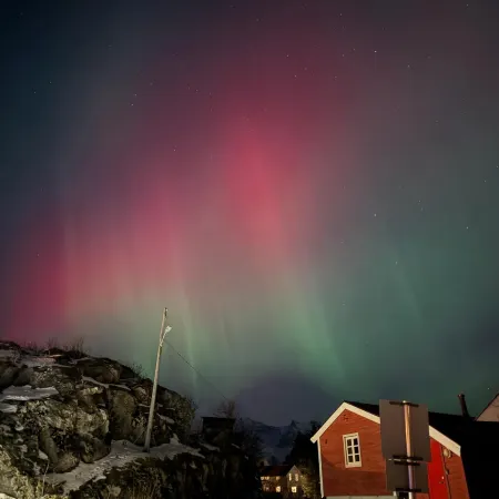 Astra Whale - Waterfront Boutique Hostel in Lofoten