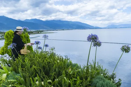 SkyLove LakeView & Garden Hotel