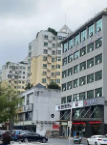 โรงแรมดีที - สัตว์เลี้ยง