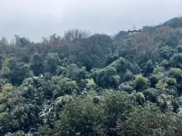 蘇州楓橋樂荷斯公寓（何山地鐵站店） - 山景