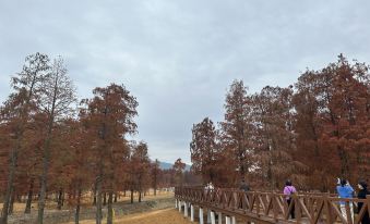 Zhongxing · Aerobic Forest Luxury Leisure Resort Homestay