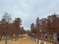 Zhongxing · Aerobic Forest Luxury Leisure Resort Homestay