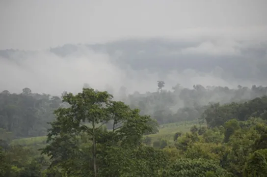 รูปภาพของภูทรายแก้ว