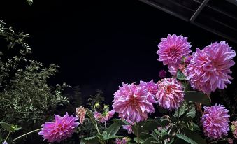 Lotus Lake Landscape Residence