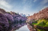 Four Seasons Hotel Tokyo at Otemachi Hôtels à : Tokyo