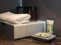 下渚湖度假飯店 德清下渚湖濕地公園附近的飯店