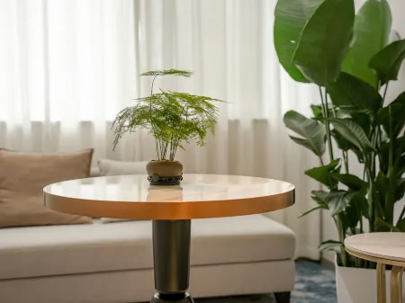 Jinfeng Hotel (Libo Ancient Town)