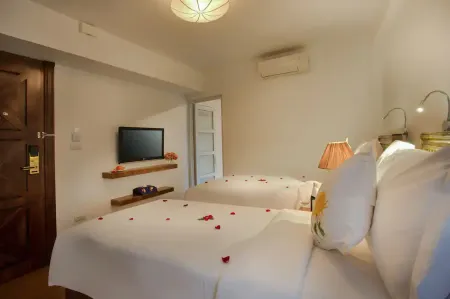Free Airport Service Deals w Singita Classy Boutique Hotel & Travel