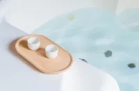 Regale Villa Hotel - Jacuzzi
