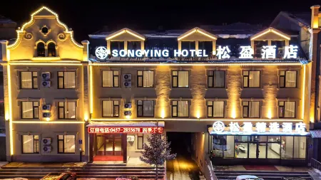 Mohe Songying Select Hotel Отели рядом с достопримечательностью «Сунхуа оригинальный лесной парк»
