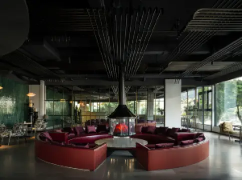 โรงแรมยังก์