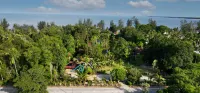 Tanjung Inn Hotels in Balok