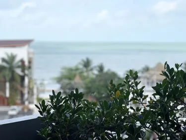 รูปภาพของสุภารอยัลบีช