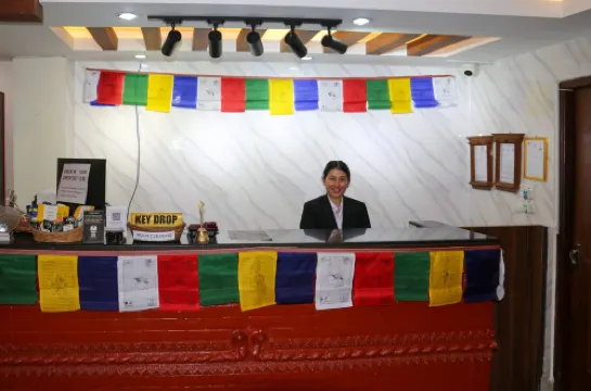 HOTEL 11 THAMEL Общественные зоны Photos