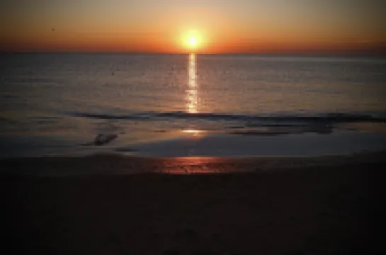 Aranya Pomegranate house