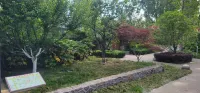 Weishan Island Qingfeng Homestay
