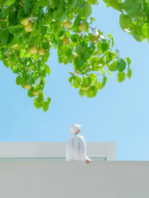 HuaQingYin Hotel - 인피니티 풀