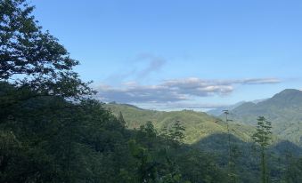 Dujiangyan Wuzhigu Homestay