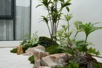 雲族翠鳳凰飯店