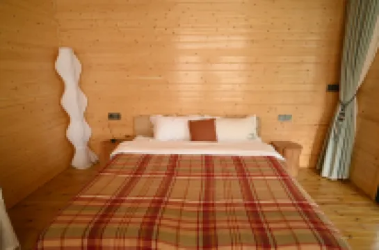 Bamboo Forest Wonderland