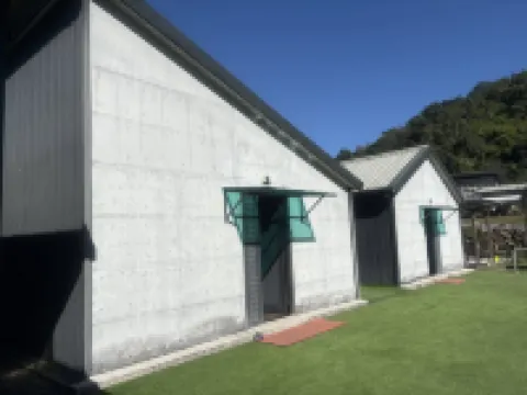 BlackJazz Inn Hotel in zona Sorgenti termali Puli Hot Spring