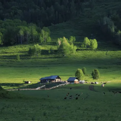 Forestcare Designer Vacation Homestay (Kanas Scenic Area Branch) Hotels near Kanas Tuva Village