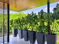 The Summer Villa by Nature Home - Villas