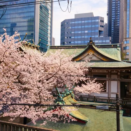 Villa Shinkoo Shinsaibashi 101