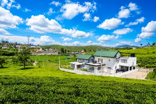 Villa Tea Fields - Free Breakfast, Just 4km from City, Near Lake Gregory - Villas