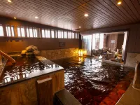 Dormy Inn Toyama Natural Hot Spring - spa